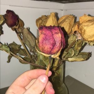 Meet your Posher, Effy